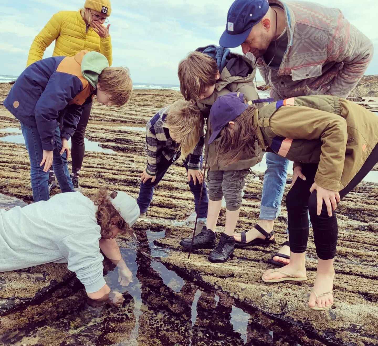 Ultimate Guide to Safe Mussels and Bivalve Picking Along Portugal shore